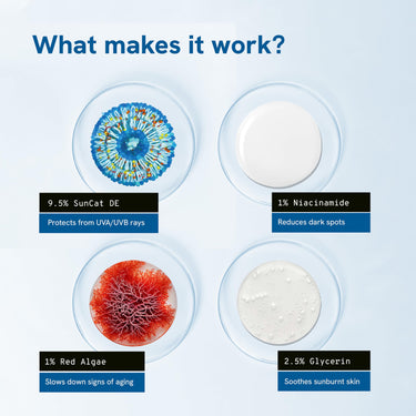 Be Bodywise Sunscreen Spray SPF 50 PA+++ 100ml | With SunCat DE Technology | Protects Skin from UVA/UVB Rays & Slows Down Signs of Aging | 1% Niacinamide, 1% Red Algae & 2.5% Glycerin | Fragrance Free